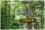 Toilets in the Woods