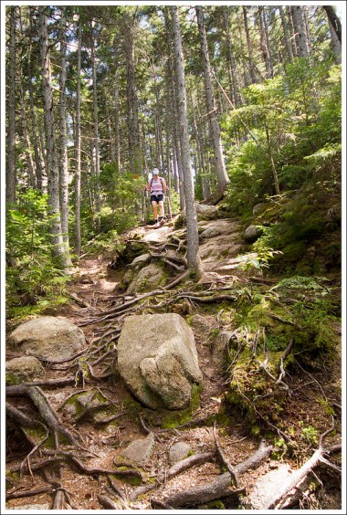 Steep Descent of Hedgehog Mountain