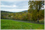 Farmland Views