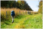 Leaving the Meadows