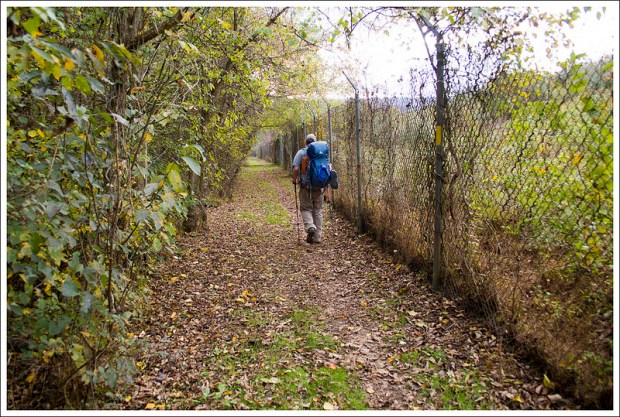 Smithsonian Conservation