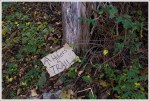Litter on the AT