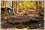 Stream Crossing