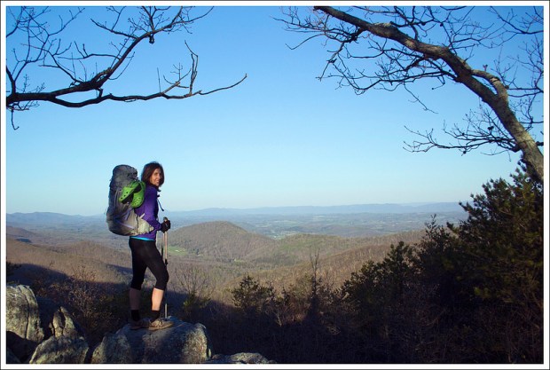 View from Cove Mountain