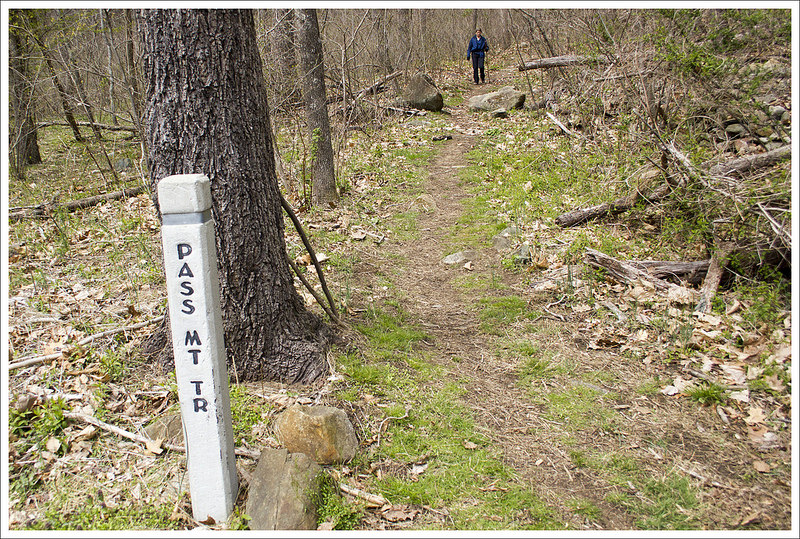 Pass Mountain Trail