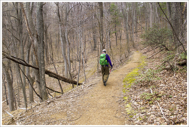 The Descent of Pass Mountain