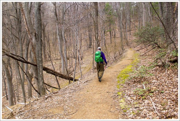 The Descent of Pass Mountain