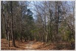 Pamplin Historical Park