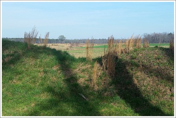 Pamplin Historical Park