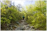 Rocky Grade on Roaring Run Gap Trail