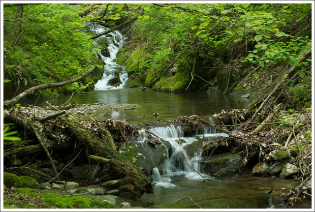 Small Waterfall on Browns Run