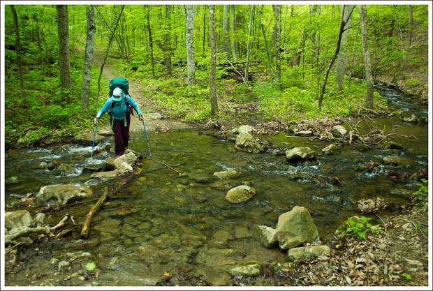 Crossing Browns Run