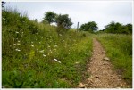 Meadow on the Appalachian Trail
