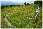 Open Meadow Walking Near Whitetop Mountain