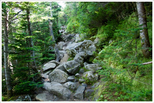 They Said It Had Pleasant Footing