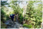 Mt. Eisenhower Hike