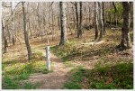 Appalachian Trail at Brown Gap