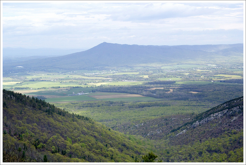 View from the Lewis Peak Trail