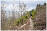 Rocky Trail to the Summit