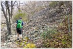 Talus Slopes on Rockytop Trail