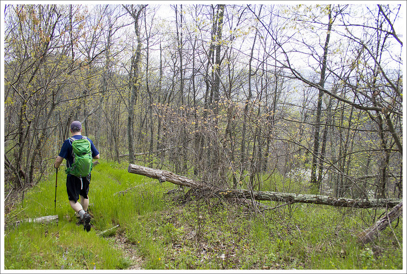 Beautiful Views on Ridge