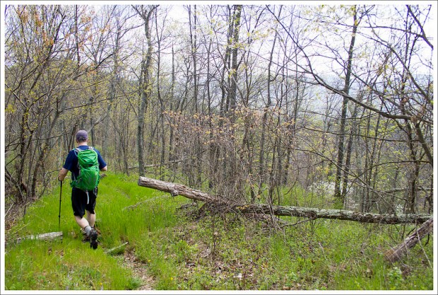 Beautiful Views on Ridge