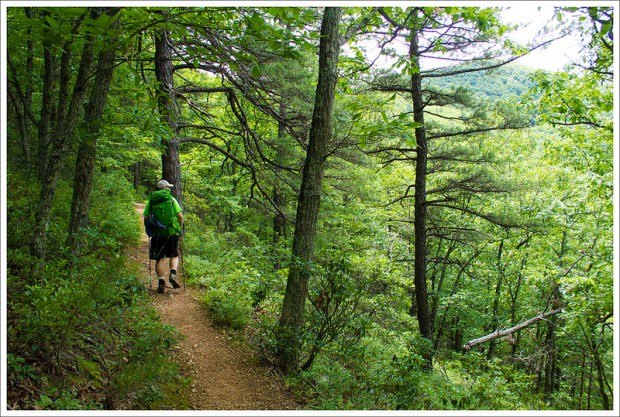 Black Horse Gap to Daleville