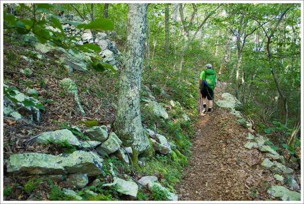 Ascent Toward Fullhardt Knob