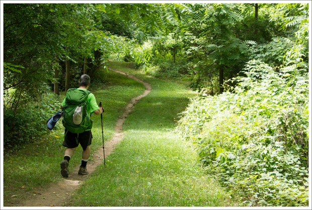 Home Stretch into Daleville