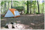 Tent Site Behind the Shelter