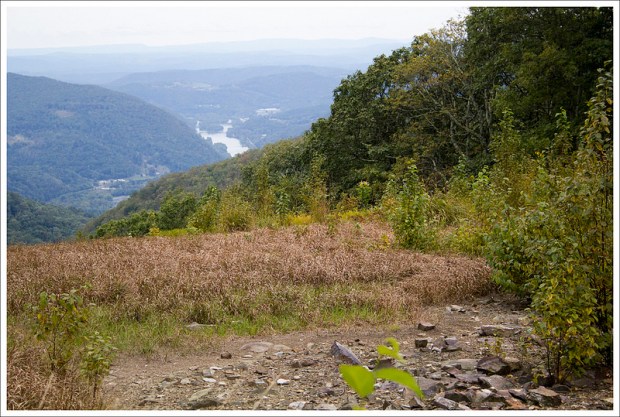 Views from the Trail