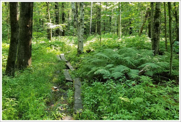 Appalachian Trail: Etna to Hanover