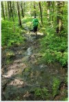 Mud on the Appalachian Trail