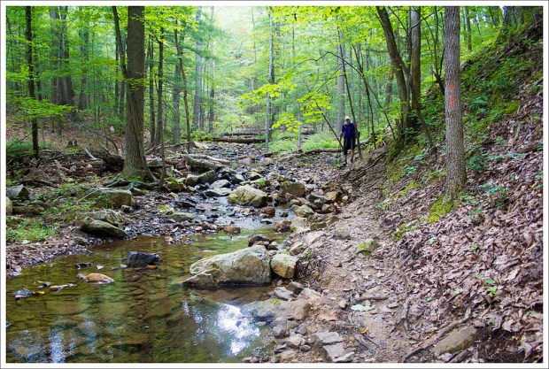 Erosion Along the Trail