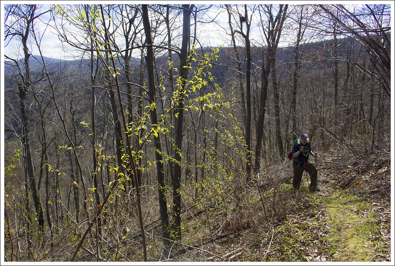 Brown Mountain Trail