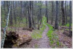 Appalachian Trail
