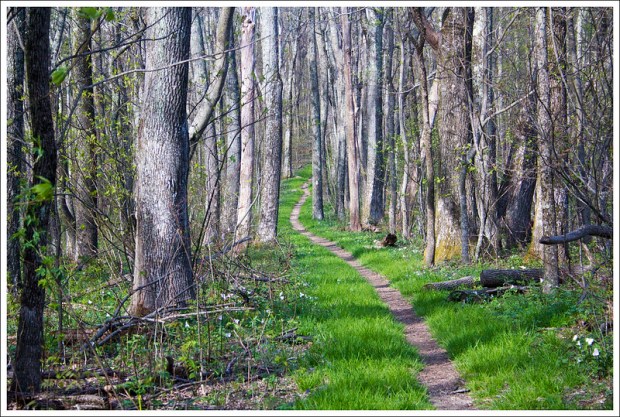 Appalachian Trail