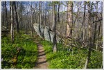 Appalachian Trail