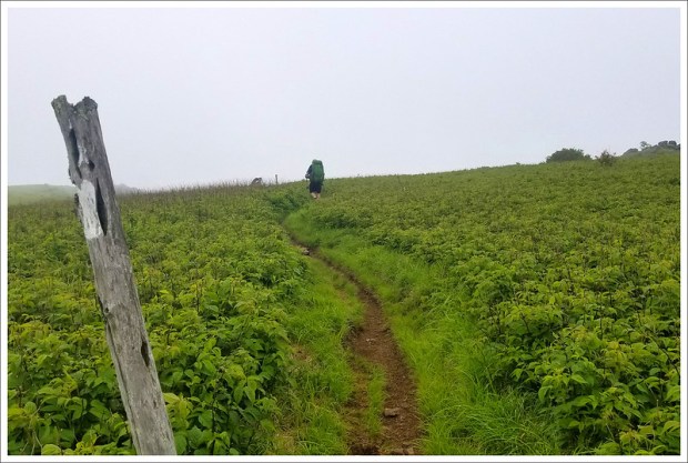 Hiking Toward Buzzard Rock