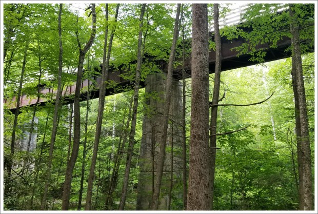 Luther Hassinger Bridge