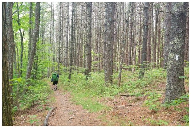 Leaving the Virginia Highlands