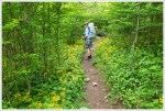 Walking on the Appalachian Trail