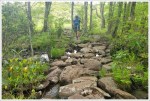 Rocky Footing Over a Marshy Area