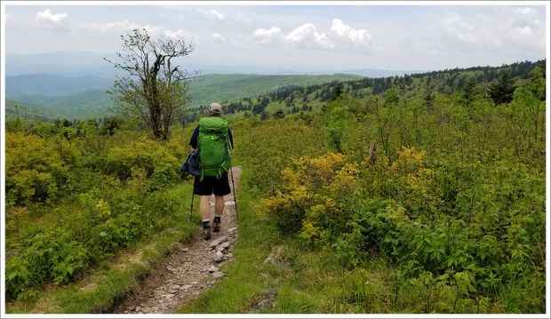 Leaving Mt. Rogers Area