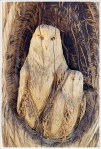 Owl Sculpture