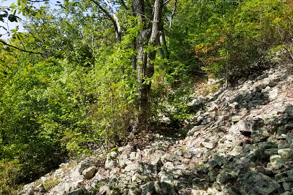 The trail across one of many talus slopes.